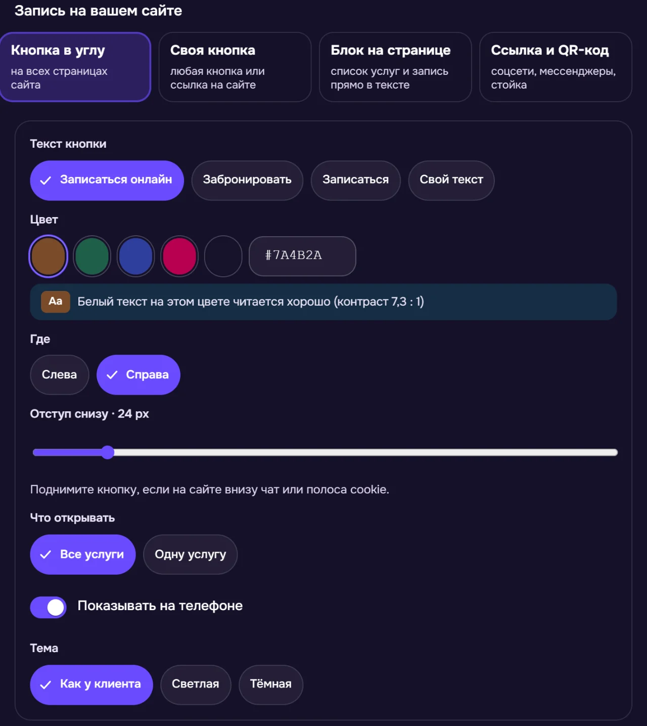 Блок «Запись на вашем сайте» в настройках страницы записи демо-кабинета: способы установки и настройка кнопки